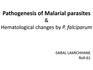 Pathogenesis of Malarial parasites
&
Hematological changes by P. falciparum
-SARAL LAMICHHANE
Roll-61
 