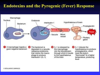 Pathogenesis of microbial infections dr. ihsan alsaimary | PPT