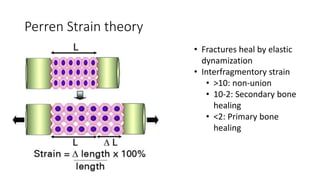 Perren Strain theory
• Fractures heal by elastic
dynamization
• Interfragmentory strain
• >10: non-union
• 10-2: Secondary bone
healing
• <2: Primary bone
healing
 