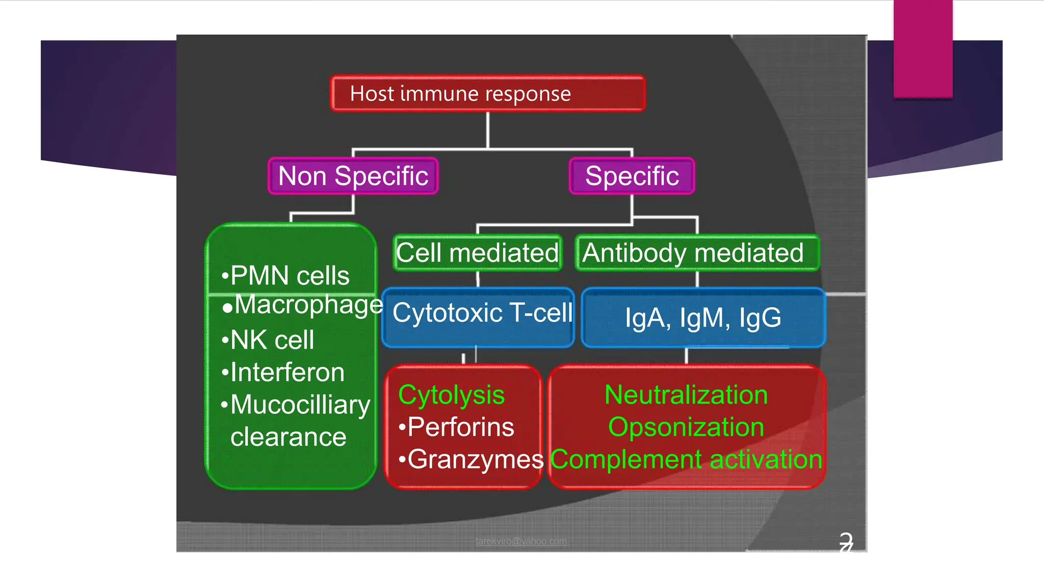 Host immune response
tarekviro@yahoo.com
2
7
Non Specific Specific
Cell mediated Antibody mediated
•PMN cells
•Mucocilliary
clearance
•Macrophage Cytotoxic T-cell
•NK cell
•Interferon
IgA, IgM, IgG
Neutralization
Opsonization
Cytolysis
•Perforins
•Granzymes Complement activation
 