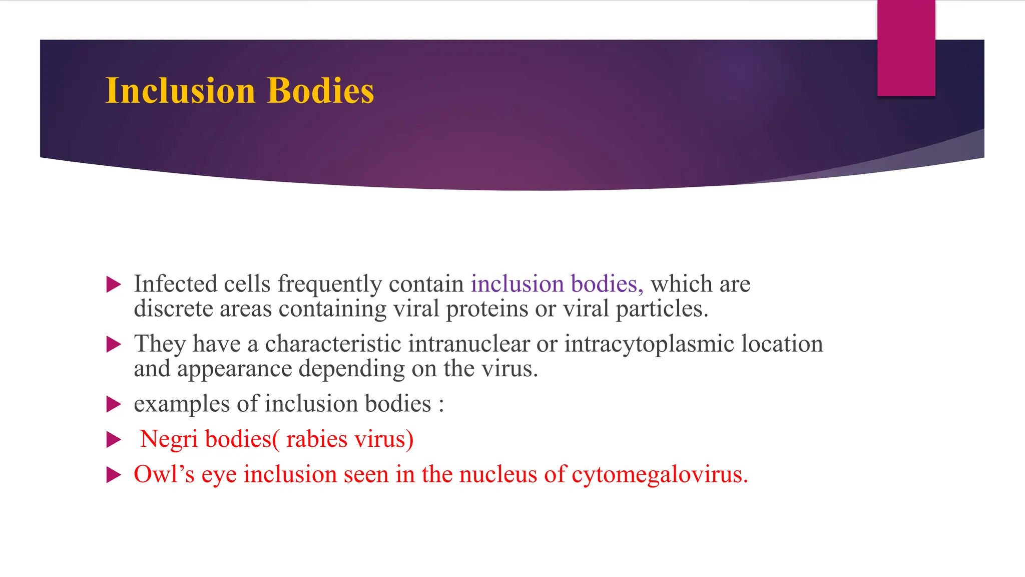 Inclusion Bodies
 Infected cells frequently contain inclusion bodies, which are
discrete areas containing viral proteins or viral particles.
 They have a characteristic intranuclear or intracytoplasmic location
and appearance depending on the virus.
 examples of inclusion bodies :
 Negri bodies( rabies virus)
 Owl’s eye inclusion seen in the nucleus of cytomegalovirus.
 