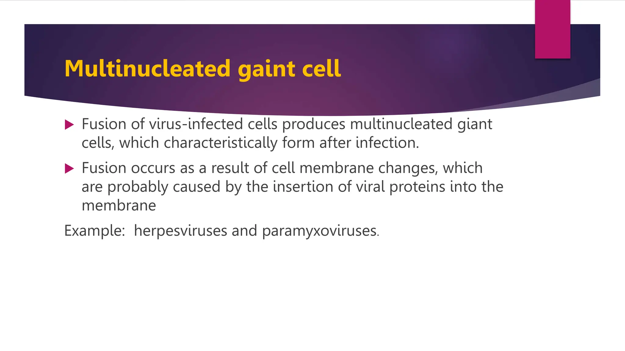 Multinucleated gaint cell
 Fusion of virus-infected cells produces multinucleated giant
cells, which characteristically form after infection.
 Fusion occurs as a result of cell membrane changes, which
are probably caused by the insertion of viral proteins into the
membrane
Example: herpesviruses and paramyxoviruses.
 