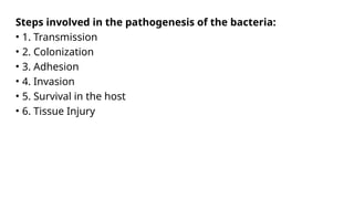 Comprehensive Overview of Bacterial Infection Pathogenesis and Disease ...