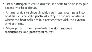 Comprehensive Overview of Bacterial Infection Pathogenesis and Disease ...