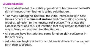Comprehensive Overview of Bacterial Infection Pathogenesis and Disease ...