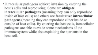 Comprehensive Overview of Bacterial Infection Pathogenesis and Disease ...