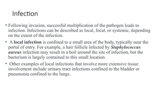 Massification Infections Comprehensive Overview of Bacterial Infection Pathogenesis and Disease ...