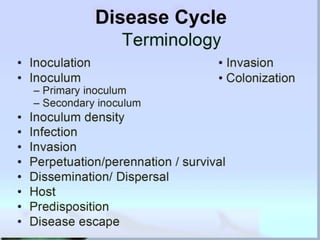 –
Disease Cycle
 