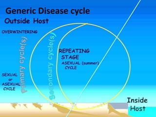 Generic Disease cycle
 