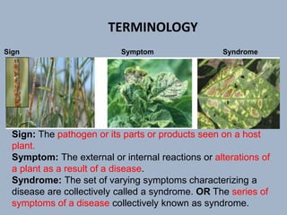 Sign Symptom Syndrome
Sign: The pathogen or its parts or products seen on a host
plant.
Symptom: The external or internal reactions or alterations of
a plant as a result of a disease.
Syndrome: The set of varying symptoms characterizing a
disease are collectively called a syndrome. OR The series of
symptoms of a disease collectively known as syndrome.
TERMINOLOGY
 
