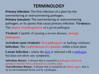 Primary infection: The first infection of a plant by the
overwintering or oversummering pathogen.
Primary inoculum: The overwintering or oversummering
pathogen, or its spores that cause primary infection. Virulence:
The degree of pathogenicity of a given pathogen.
Virulent: Capable of causing a severe disease; strongly
pathogenic.
Avirulent (non-virulent): Non-pathogenic or lacking virulence.
Infection: The establishment of a parasite within a host plant.
Latent Infection : where the host is infected with a pathogen
but does not show any symptoms.
Infectious disease: A disease that is caused by a pathogen which can
spread or transfer from a diseased to a healthy plant.
Non-infectious disease: A disease that is caused by an abiotic agent, that is,
by an environmental factor, not by a pathogen.
TERMINOLOGY
 