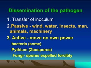 Pathogenesis