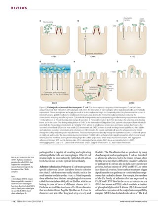 sinh bệnh học escherichia coli | PDF