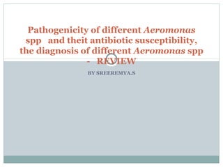 Pathogenicity of different Aeromonas 
spp and theit antibiotic susceptibility, 
the diagnosis of different Aeromonas spp 
- REVIEW 
BY SREEREMYA.S 
 