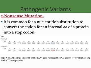Pathogenic Mutation in DNA that decides whether the patient gonna ...