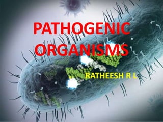 PATHOGENIC
ORGANISMS
RATHEESH R L
 