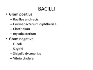 BACILLI
• Gram positive
– Bacillus anthracis
– Corynebacterium diphtheriae
– Clostridium
– mycobacterium
• Gram negative
– E. coli
– S.typhi
– Shigella dyseneriae
– Vibrio cholera