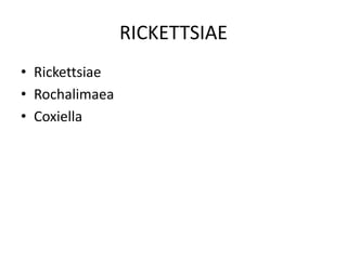 RICKETTSIAE
• Rickettsiae
• Rochalimaea
• Coxiella
