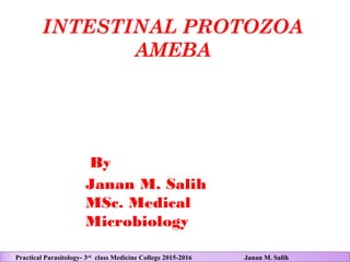 INTESTINAL PROTOZOA
AMEBA
By
Janan M. Salih
MSc. Medical
Microbiology
Practical Parasitology- 3rd
class Medicine College 2015-2016 Janan M. Salih
 