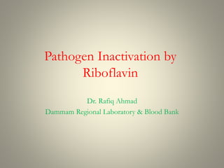 Pathogen Inactivation by
Riboflavin
Dr. Rafiq Ahmad
Dammam Regional Laboratory & Blood Bank
 