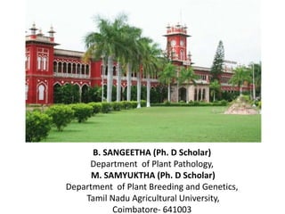 B. SANGEETHA (Ph. D Scholar)
Department of Plant Pathology,
M. SAMYUKTHA (Ph. D Scholar)
Department of Plant Breeding and Genetics,
Tamil Nadu Agricultural University,
Coimbatore- 641003
 