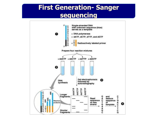 Pathogenomics: Challenges and Opportunities | PPT