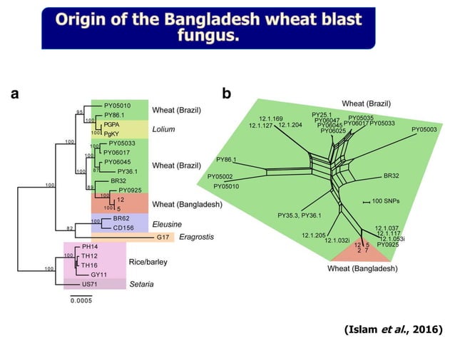 Pathogenomics: Challenges and Opportunities | PPT