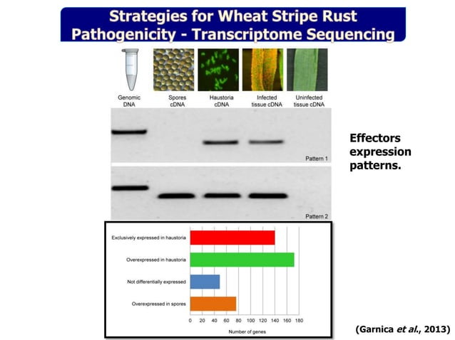 Pathogenomics: Challenges and Opportunities | PPT