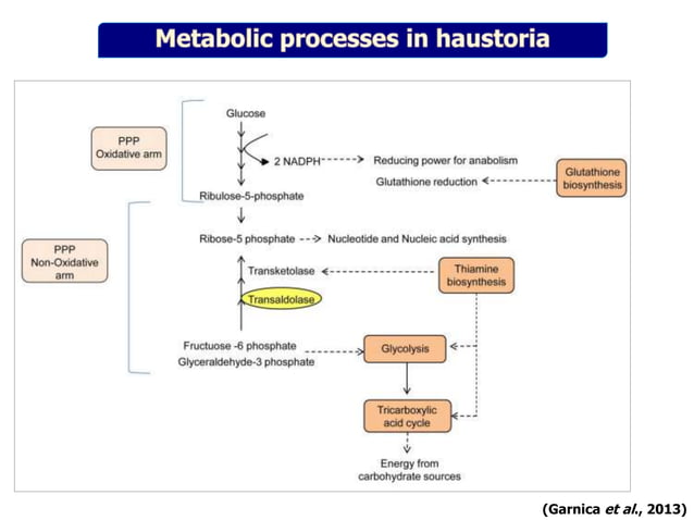 Pathogenomics: Challenges and Opportunities | PPT