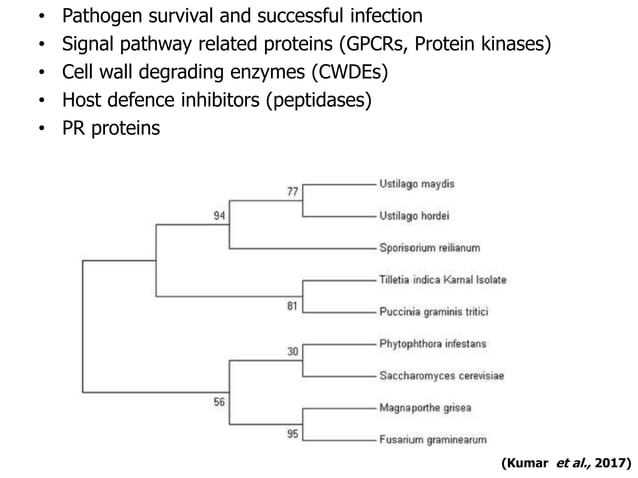 Pathogenomics: Challenges and Opportunities | PPT