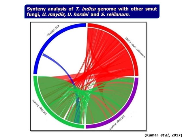 Pathogenomics: Challenges and Opportunities | PPT
