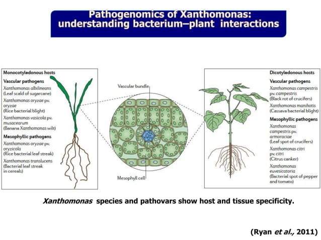 Pathogenomics: Challenges and Opportunities | PPT