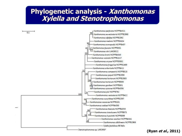Pathogenomics: Challenges and Opportunities | PPT