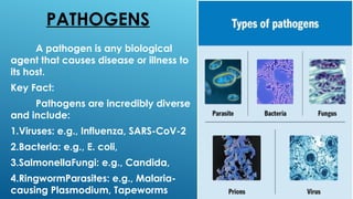 Comprehensive Overview of Pathogens, Pathogenicity, and Virulence ...