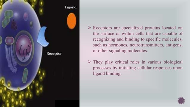 Pathogen Recognition Receptors (PRRS) & Pathogen Associated Molecular ...