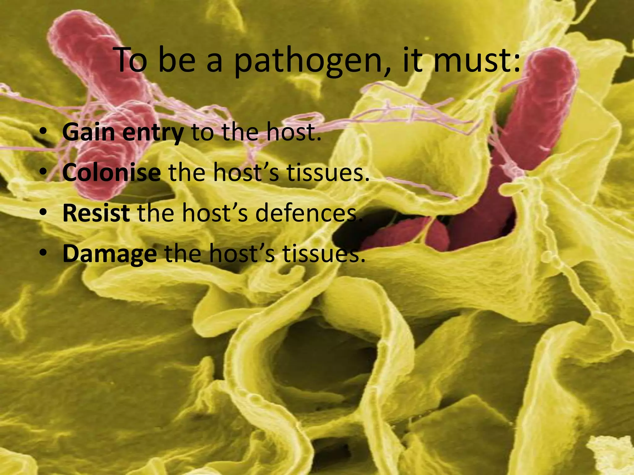 AS Level Biology - Pathogens | PPTX