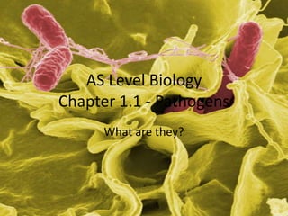 AS Level Biology
Chapter 1.1 - Pathogens
      What are they?
 