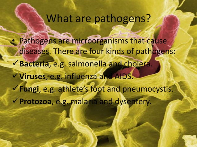 AS Level Biology - Pathogens | PPTX | Infectious Diseases | Diseases ...