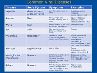 Pathogens.ppt