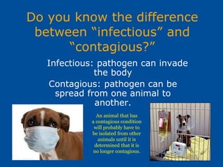 Pathogens.ppt