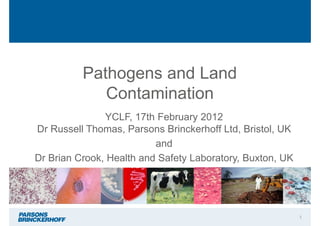 Pathogens and Land
             Contamination
               YCLF, 17th February 2012
Dr Russell Thomas, Parsons Brinckerhoff Ltd, Bristol, UK
                          and
Dr Brian Crook, Health and Safety Laboratory, Buxton, UK




                                                           1
 