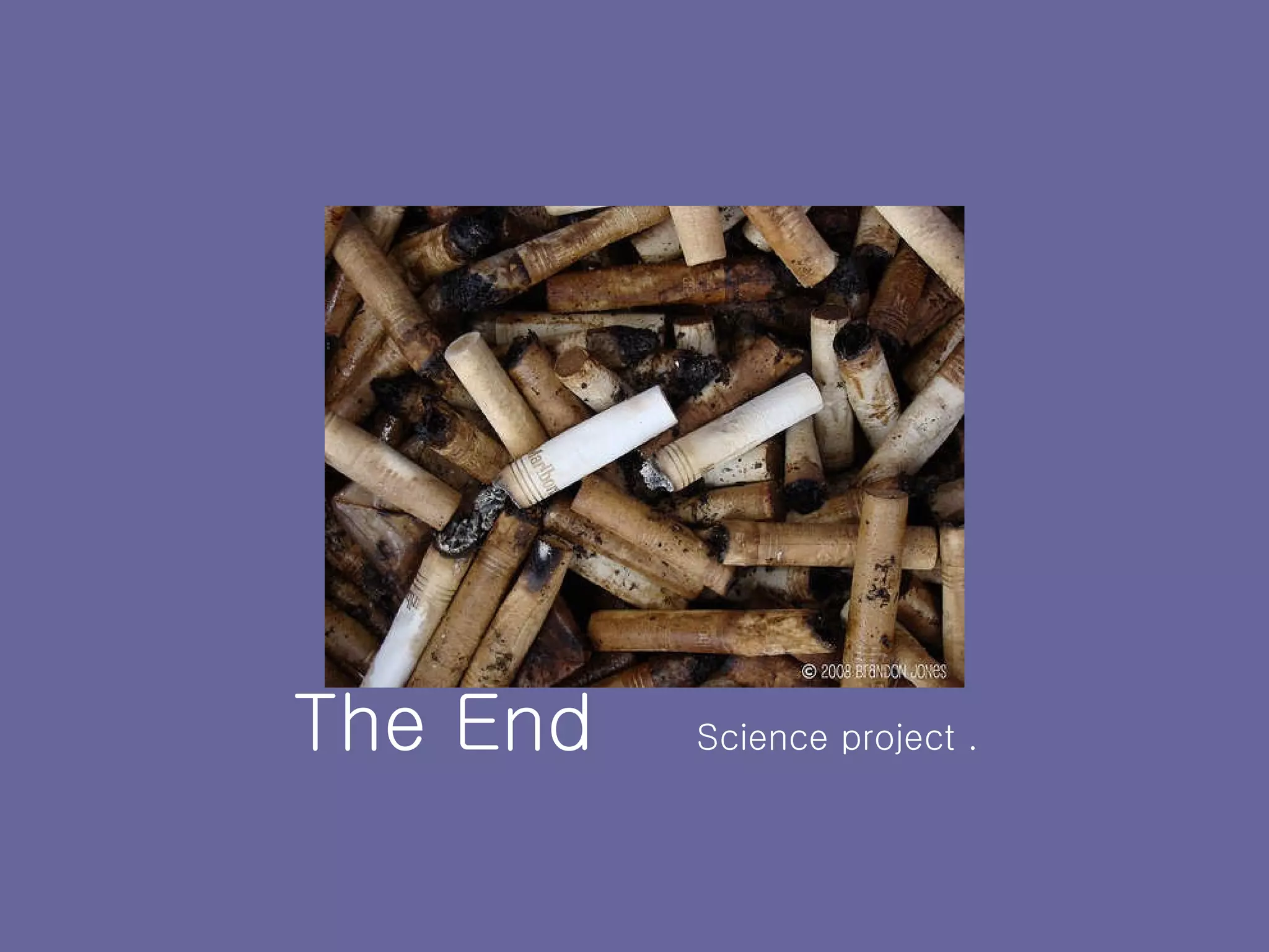 The End  Science project . 