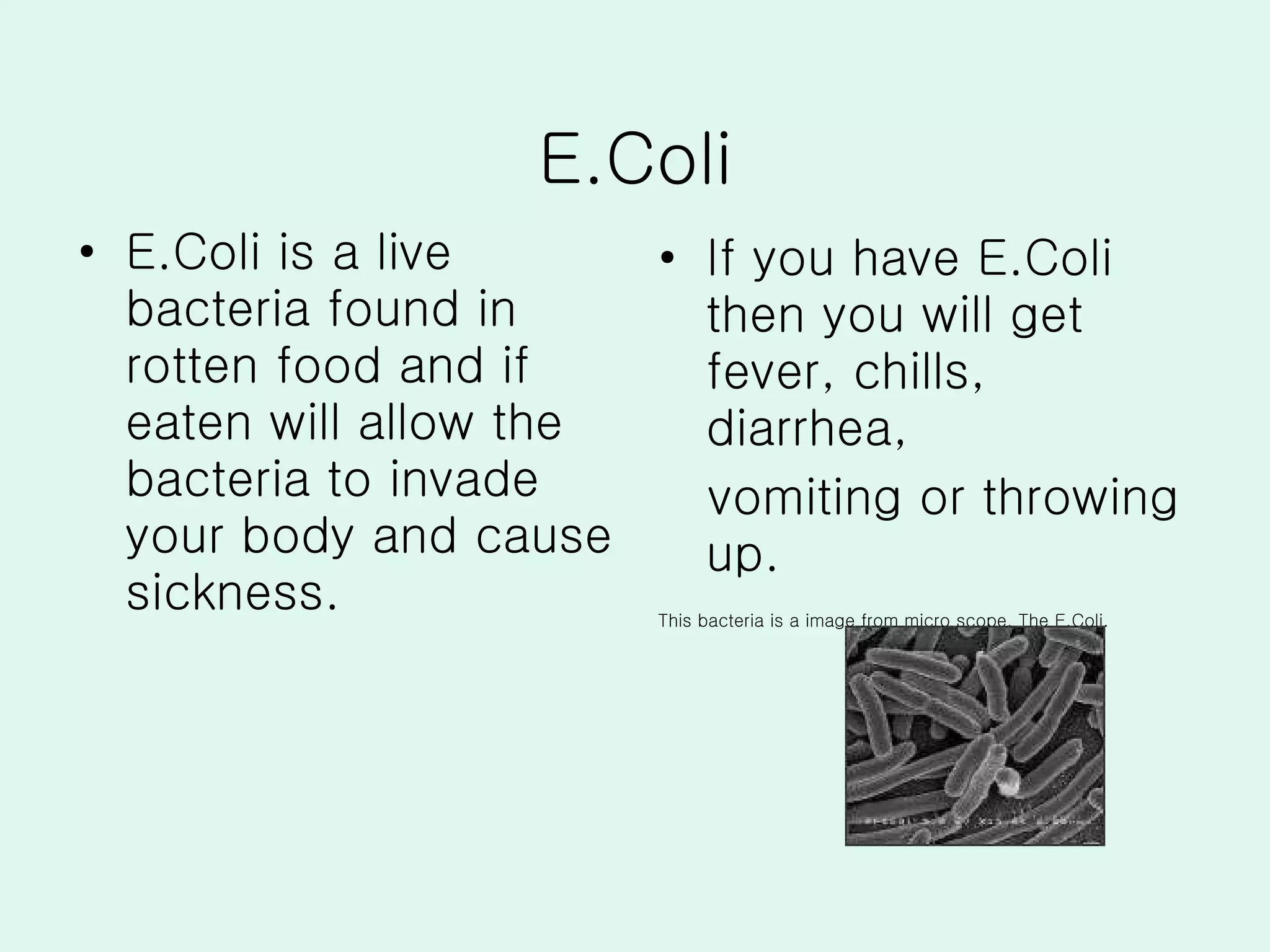 E.Coli E.Coli is a live bacteria found in rotten food and if eaten will allow the bacteria to invade your body and cause sickness. If you have E.Coli then you will get fever, chills, diarrhea,  vomiting or throwing up. This bacteria is a image from micro scope. The E.Coli. 