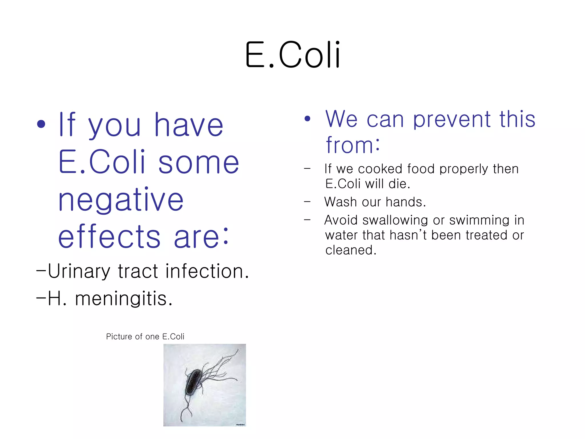 E.Coli If you have E.Coli some negative effects are: -Urinary tract infection. -H. meningitis.  Picture of one E.Coli We can prevent this from:   -  If we cooked food properly then E.Coli will die. -  Wash our hands. -  Avoid swallowing or swimming in water that hasn’t been treated or cleaned. 