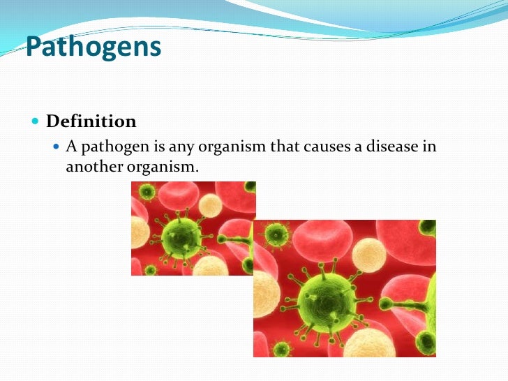Organism That Cause Food Poisoning Organism That Cause Food Poisoning