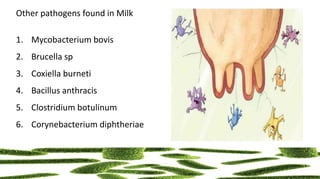 Other pathogens found in Milk
1. Mycobacterium bovis
2. Brucella sp
3. Coxiella burneti
4. Bacillus anthracis
5. Clostridium botulinum
6. Corynebacterium diphtheriae
 