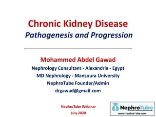 Chronic Kidney Disease
Pathogenesis and Progression
Mohammed Abdel Gawad
Nephrology Consultant - Alexandria - Egypt
MD Nephrology - Mansoura University
NephroTube Founder/Admin
drgawad@gmail.com
NephroTube Webinar
July 2020
 