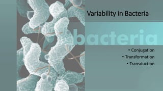 Pathogen variability,concept and mechanism | PPTX