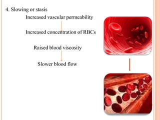 4. Slowing or stasis
Increased vascular permeability
Increased concentration of RBCs
Raised blood viscosity
Slower blood flow
 