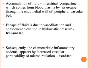• Accumulation of fluid - interstitial compartment
which comes from blood plasma by its escape
through the endothelial wall of peripheral vascular
bed.
• Escape of fluid is due to vasodilatation and
consequent elevation in hydrostatic pressure -
transudate.
• Subsequently, the characteristic inflammatory
oedema, appears by increased vascular
permeability of microcirculation – exudate.
 